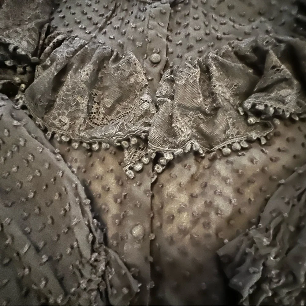 LoveShackFancy Erica SWISS DOT HIGH NECK LACE BLOUSE Ruffled Button Front Sheer - Picture 16 of 16